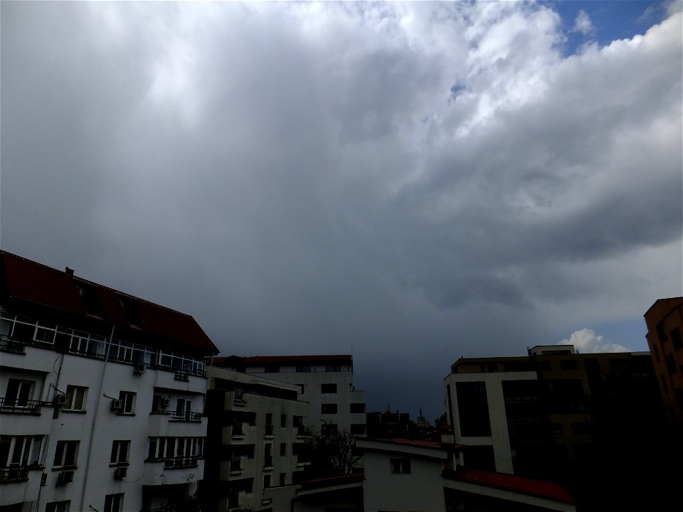 nori-sediu2015_0422_131846(1)