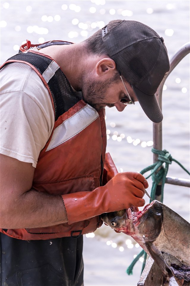 Invasive Carp Research on the James River in South Dakota. Photo: Sam Stukel (USFWS)