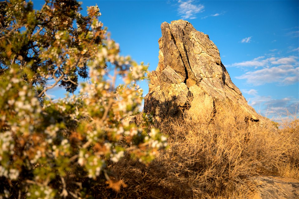 Gneiss photo