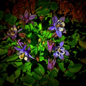 floral_DAP_Golden_Age