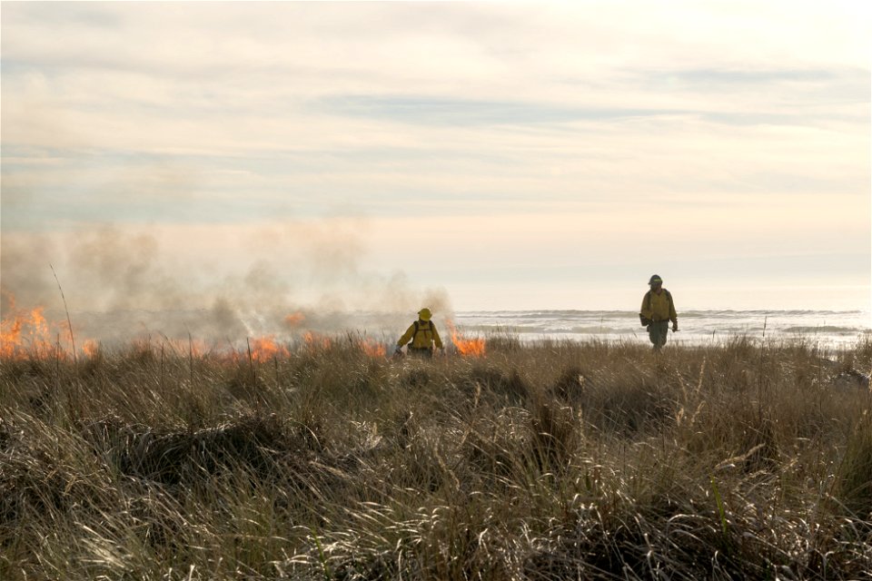 Siuslaw Oregon Dunes Prescribed Burn 2022