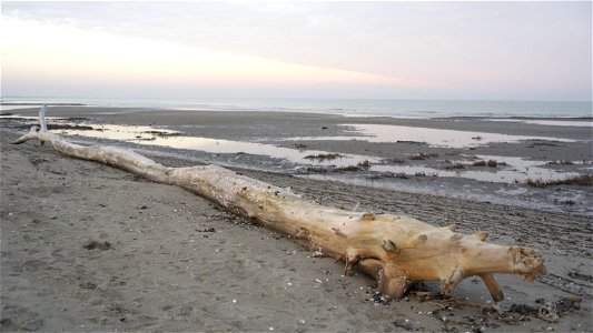 Seascape
