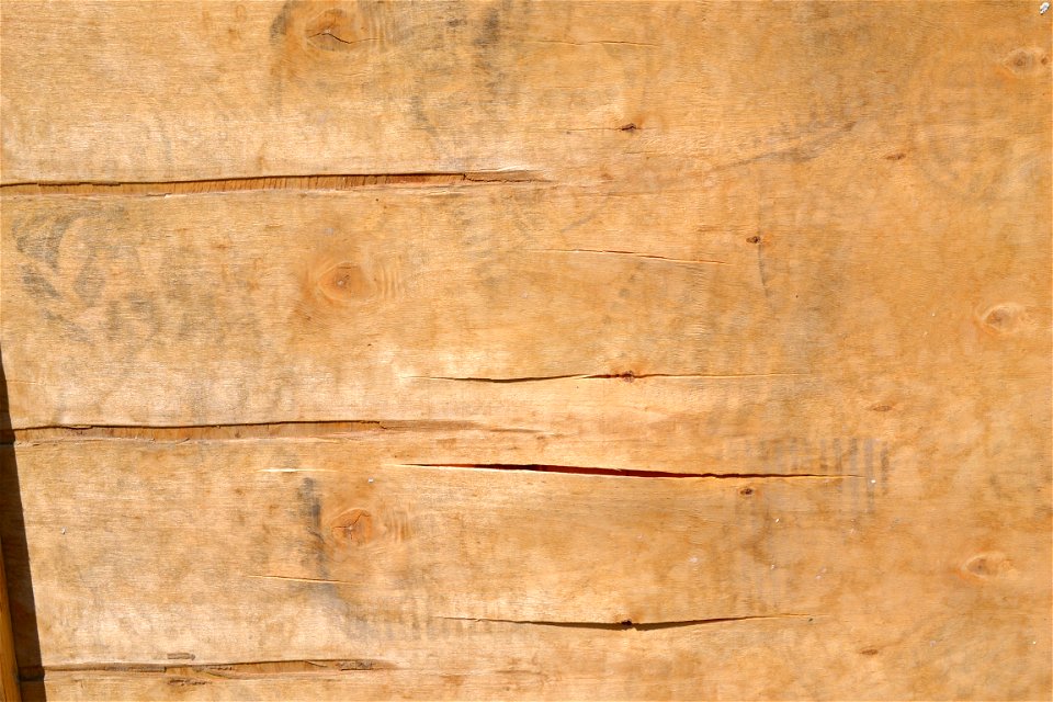 Texture