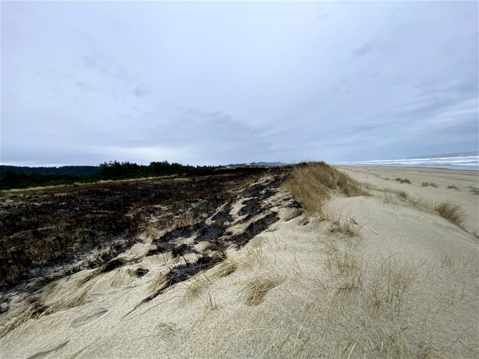 Siuslaw Oregon Dunes Prescribed Burn 2022