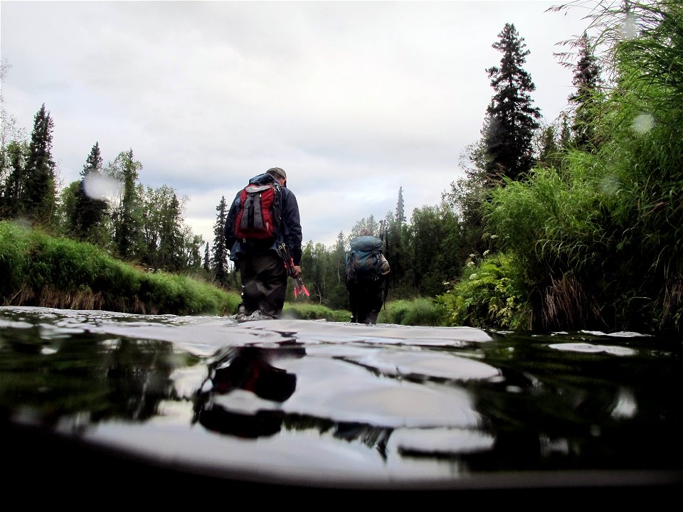 Up Rabideux Creek