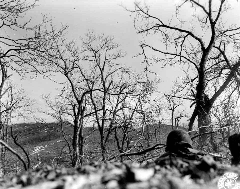 SC 270852 - Machine gunner of Co. "F", 87th Mtn. Inf., 10th Mtn. Div., firing on a group of Germans below during the recent assault in this area by the 10th Mtn. Div. 3 March, 1945.