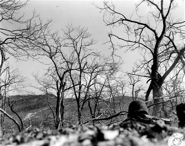 SC 270852 - Machine gunner of Co. "F", 87th Mtn. Inf., 10th Mtn. Div., firing on a group of Germans below during the recent assault in this area by the 10th Mtn. Div. 3 March, 1945. photo