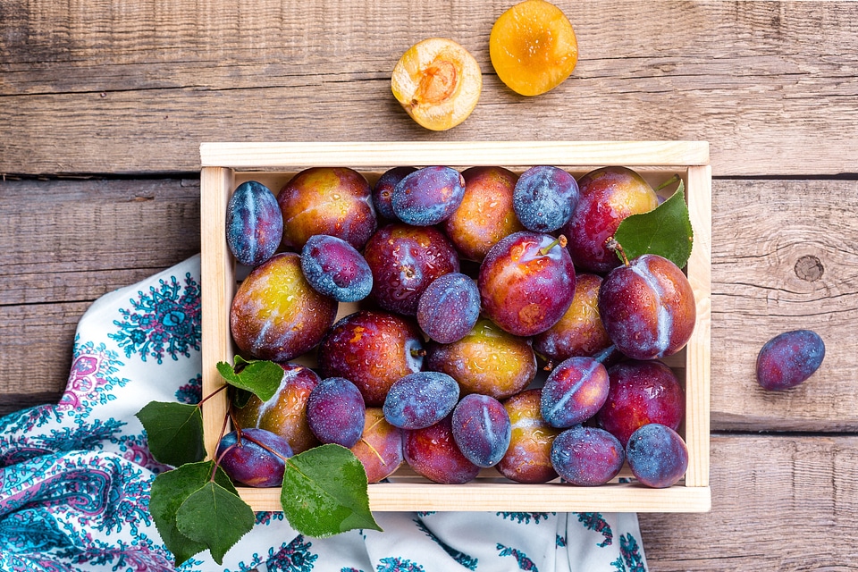 Summer Plums Fruit