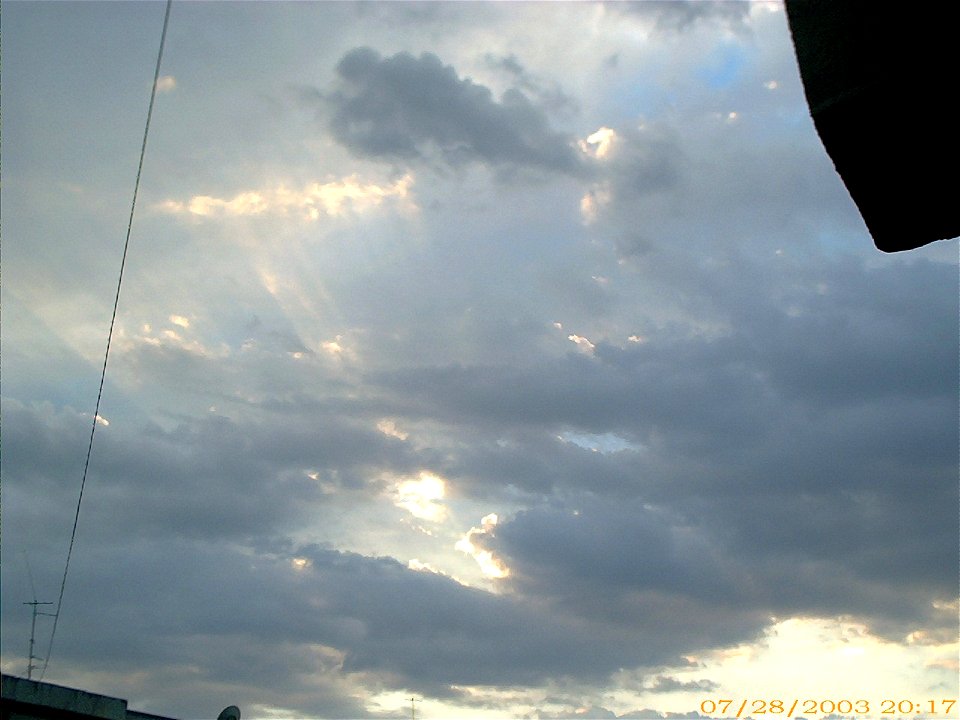 apus-caleavitan2003_0729_084116_16711245764_o