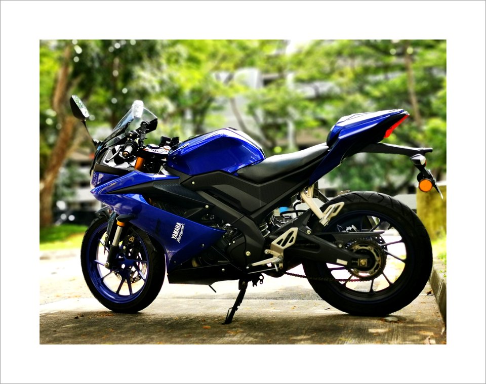Blue beauty