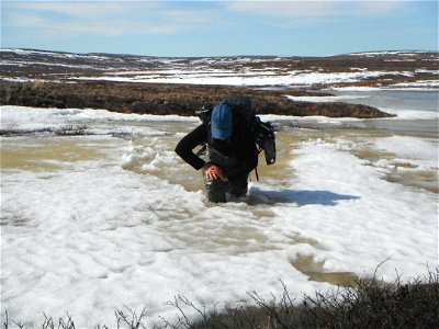 Crossing an ice-covered creek