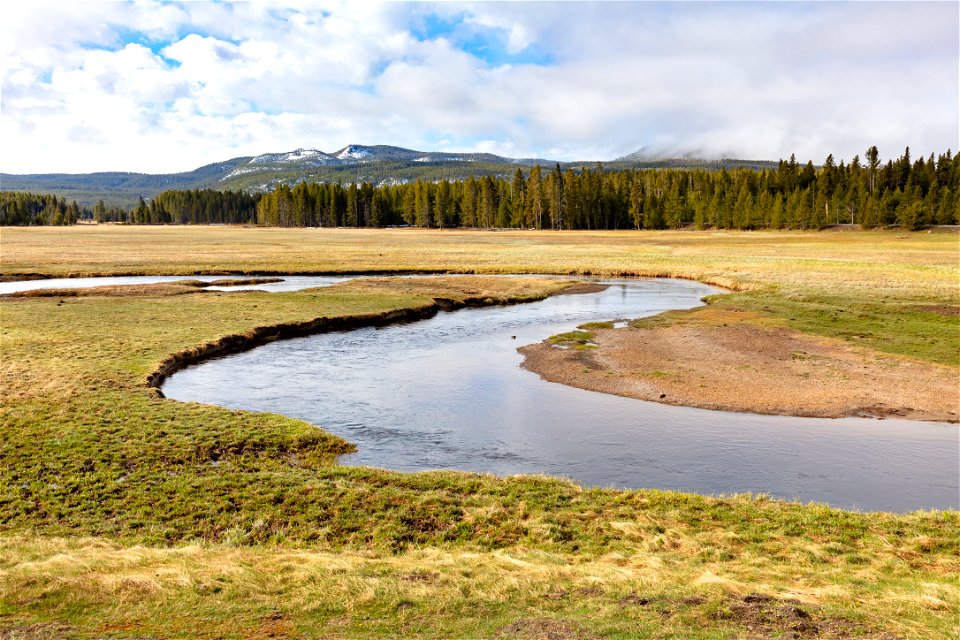 Gibbon River near the Norris Ranger Station