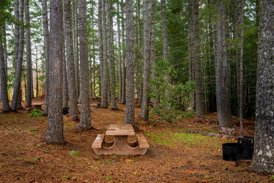 Lacks Creek Management Area