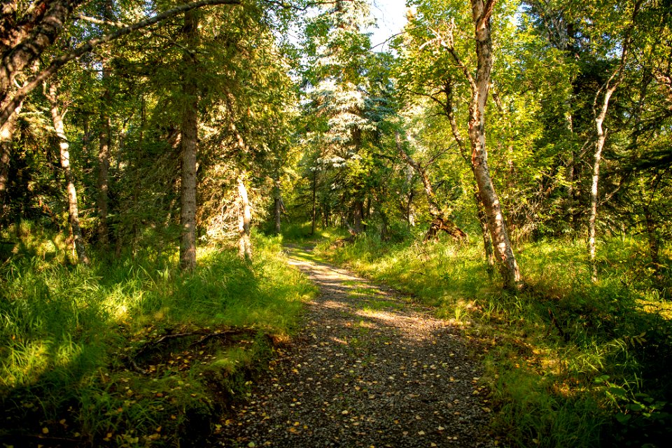 Trail - Photo courtesy of C. Chapman