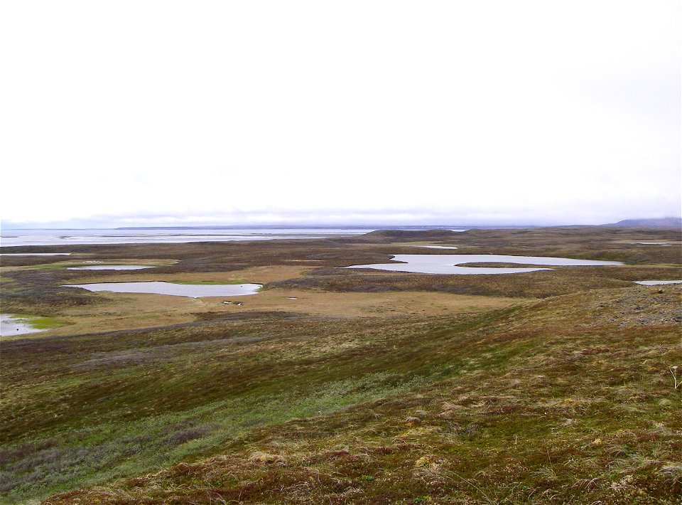 Izembek Wilderness