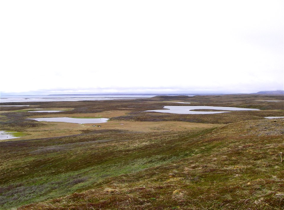 Izembek Wilderness photo