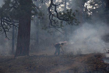 Ray Mesa Prescribed Burn Fall 2021