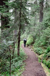 PNTA-Park Butte-Bell Pass-Mount Baker-9 photo