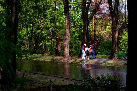 japanes_garden_rain_Herastrau (44)