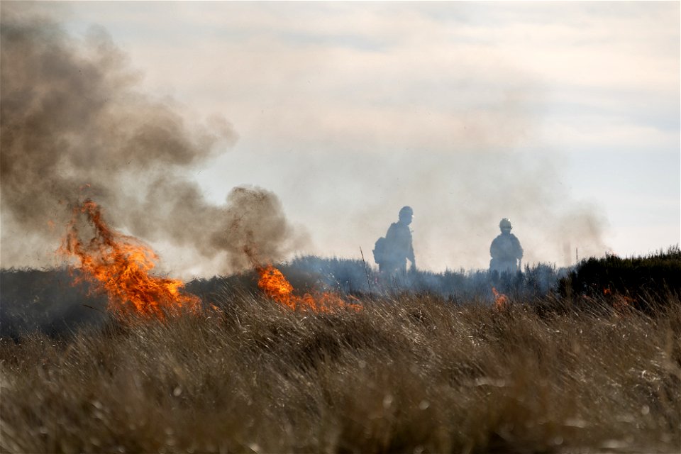Siuslaw Oregon Dunes Prescribed Burn 2022