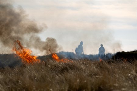 Siuslaw Oregon Dunes Prescribed Burn 2022