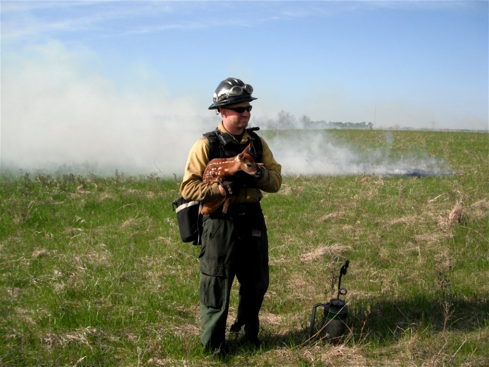2021 USFWS Fire Employee Photo Contest Category: Animals and Vegetation