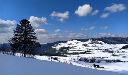 IMG_20210319_135321