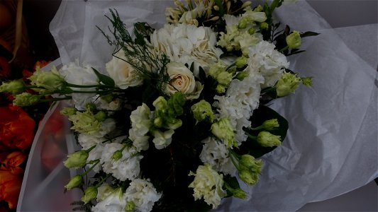 flori_flowers-wife-2023_0216_161507(1)