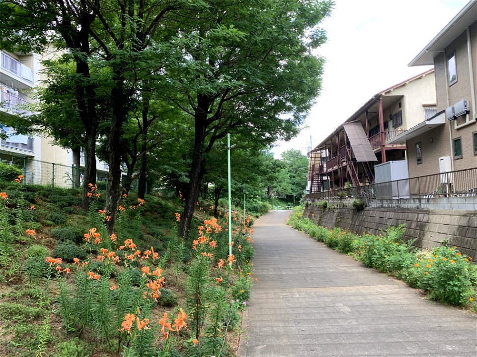 Shimosato in Higashikurume-shi