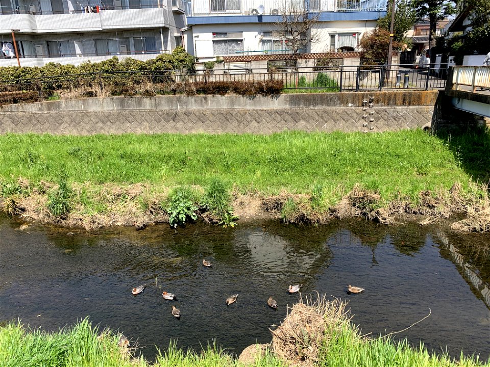 Kurome River