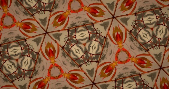 Kaleidoscope211210152658