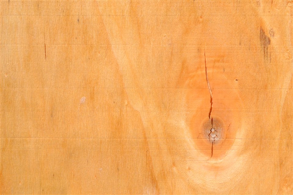 Texture