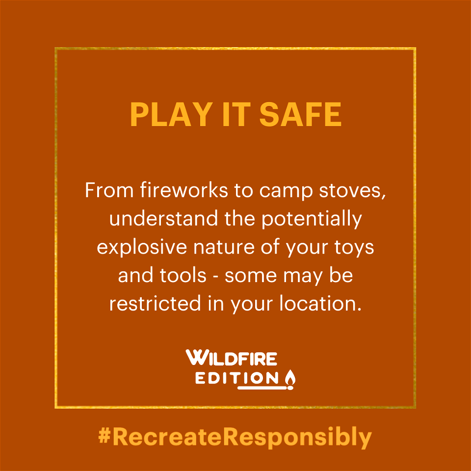 RR Play It Safe