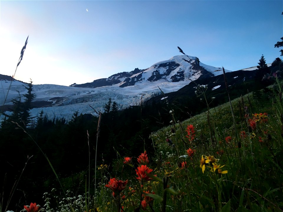20200728_Sunrise_Mt. Baker_Heliotrope_Ridge_Trail_Hogsback