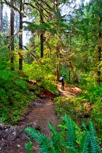 PNTA-Swift Creek-Mount Baker-23