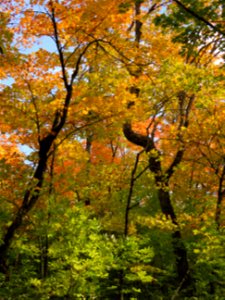 20210915-FS-Superior-SAR-012