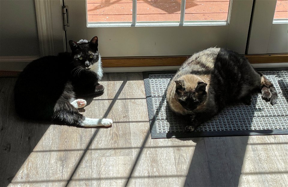 Day 168 - Sunbathers
