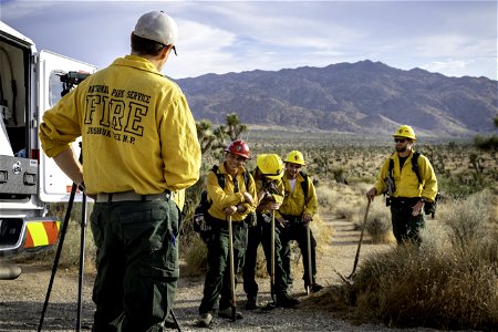 Wildland fire crew near Quail Mountain