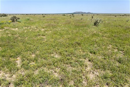 Southwest of Pino Mountain