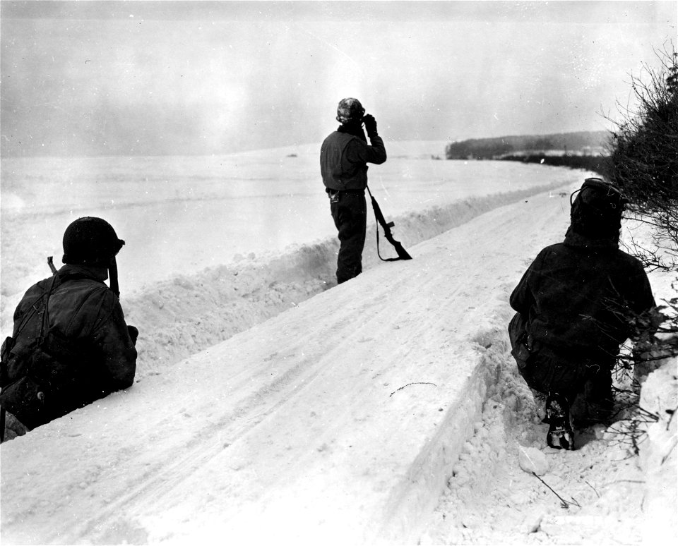 SC 374830 - The three lead men of the patrol of 1st Platoon, 5th Cavalry Reconnaissance Troop, 5th Infantry Division, 3rd U.S. Army, stop to observe the terrain.