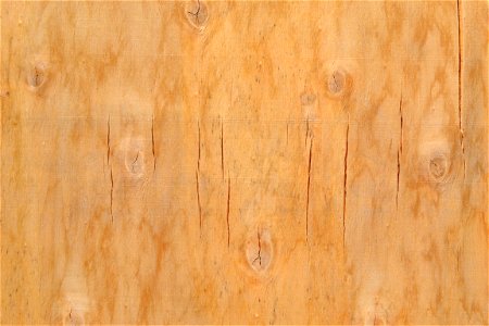 Texture