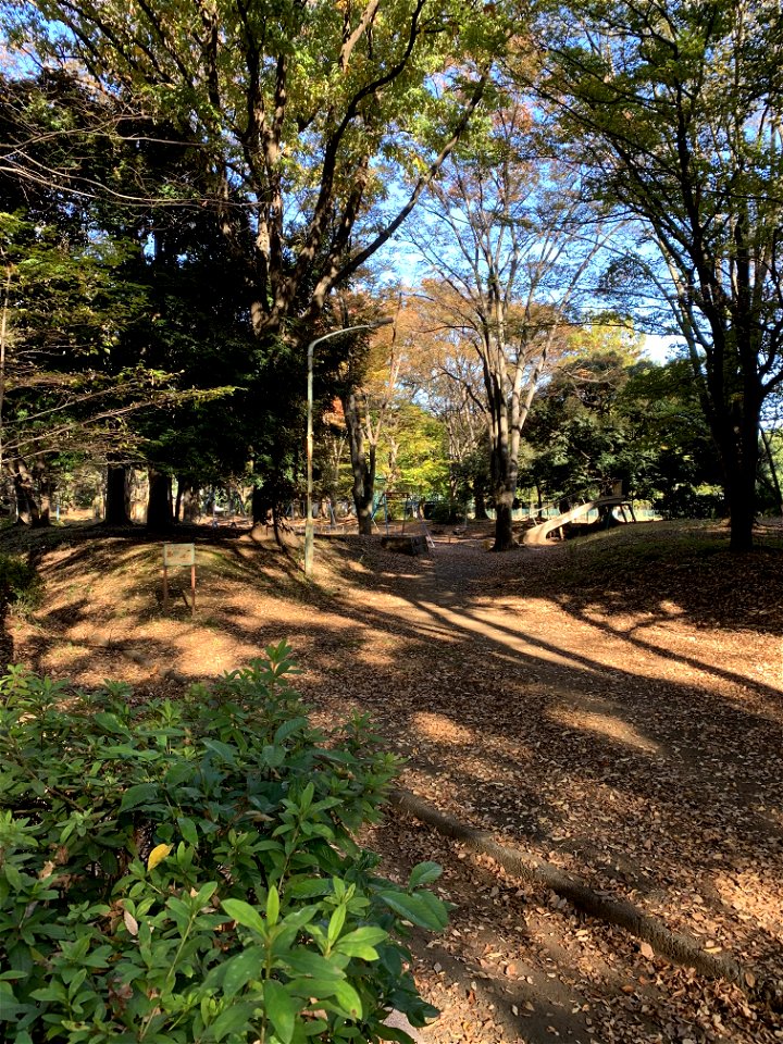 Takiyama Park, Higashikurume-shi in November