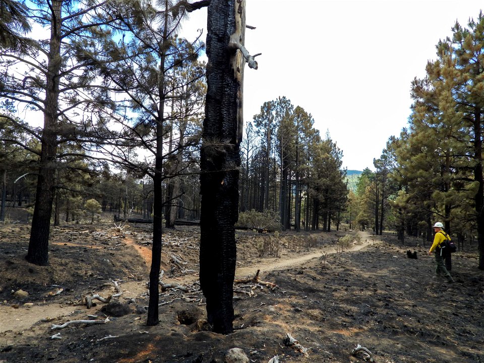 Burned Area Emergency Response media briefing
