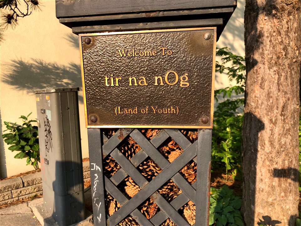Welcome to tir na nOg