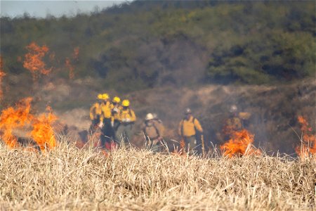Siuslaw Oregon Dunes Prescribed Burn 2022