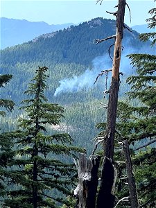 New lightning smoke report Willamete National Forest Oregon 080922