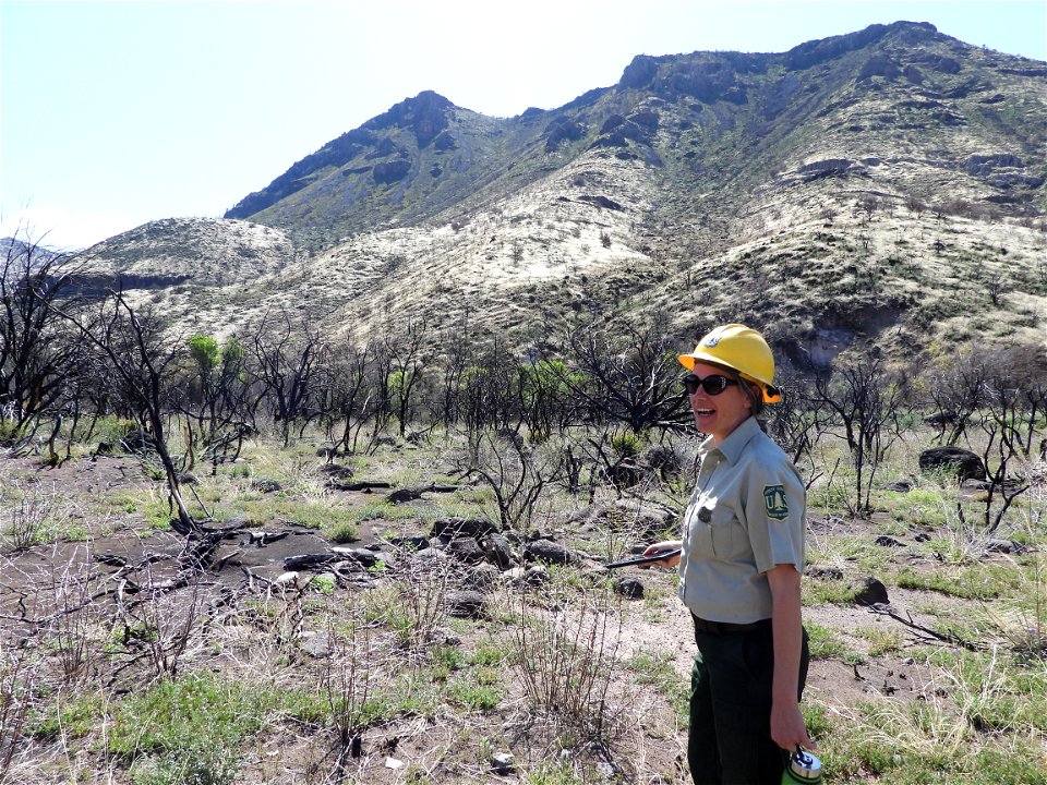 Fossil Creek Soil Monitoring photo