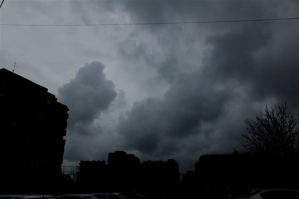 nori-Foisorului2015_0329_123246