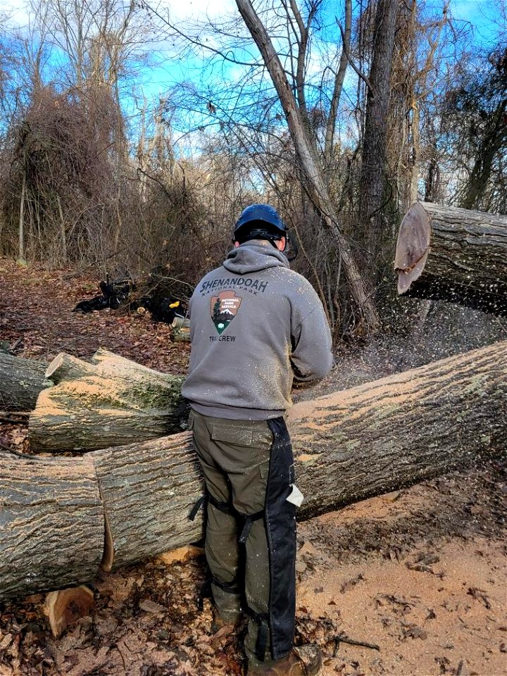 Trail Work on Fox Hollow Trail
