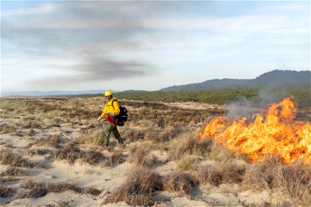 Siuslaw Oregon Dunes Prescribed Burn 2022